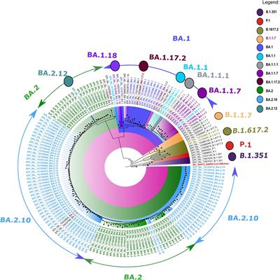 Omicron BA.2 lineage predominance in severe acute respiratory syndrome coronavirus 2 positive cases during the third wave in North India